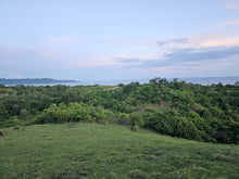 Load image into Gallery viewer, Overlooking seaview lot for sale ideal for mountain resort and rest house in Guindulman Bohol