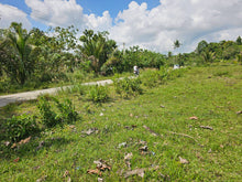 Load image into Gallery viewer, 2 hectares for sale 150/sqm Catigbian Bohol Philippines