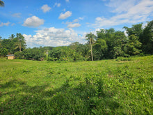 Load image into Gallery viewer, 7.8 hectares for sale along the river in Carmen Bohol 60/sqm