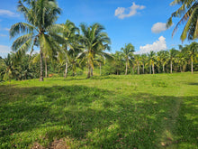 Load image into Gallery viewer, 7.8 hectares for sale along the river in Carmen Bohol 60/sqm