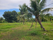 Load image into Gallery viewer, 4.2 hectares clean title for sale in Talibon Bohol Philippines