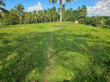 Load image into Gallery viewer, 7.8 hectares for sale along the river in Carmen Bohol 60/sqm