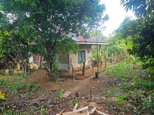 Load image into Gallery viewer, 2,079 sqm clean title for sale with a house in Buenavista Carmen Bohol 500/sqm