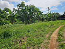 Load image into Gallery viewer, 4.4hectares for sale in Barangay Mahagbu, Trinidad Bohol 100/sqm