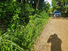 Load image into Gallery viewer, 2,079 sqm clean title for sale with a house in Buenavista Carmen Bohol 500/sqm