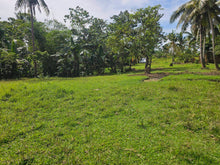 Load image into Gallery viewer, 7.8 hectares for sale along the river in Carmen Bohol 60/sqm