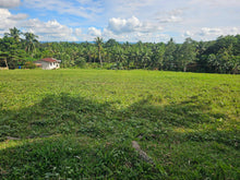 Load image into Gallery viewer, 7.8 hectares for sale along the river in Carmen Bohol 60/sqm