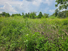 Load image into Gallery viewer, 4.4hectares for sale in Barangay Mahagbu, Trinidad Bohol 100/sqm