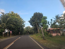 Load image into Gallery viewer, 2,079 sqm clean title for sale with a house in Buenavista Carmen Bohol 500/sqm