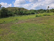 Load image into Gallery viewer, 2 hectares for sale 150/sqm Catigbian Bohol Philippines