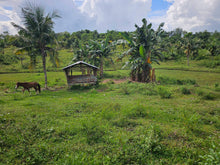 Load image into Gallery viewer, 4.2 hectares clean title for sale in Talibon Bohol Philippines