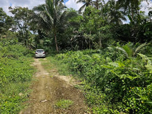 Load image into Gallery viewer, 3.3 hectares for sale in Balilihan Bohol Philippines