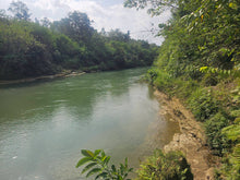 Load image into Gallery viewer, 47,000 sqm / 4.7 hectares for sale along river &amp; highway Sevilla Bohol Philippines
