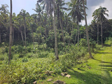 Load image into Gallery viewer, 47,000 sqm / 4.7 hectares for sale along river &amp; highway Sevilla Bohol Philippines