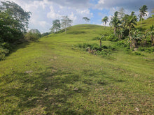 Load image into Gallery viewer, 47,000 sqm / 4.7 hectares for sale along river &amp; highway Sevilla Bohol Philippines