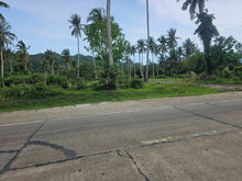Load image into Gallery viewer, Commercial/residential lot 15,000 sqm clean title for sale along highway in Guindulman Bohol