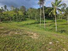 Load image into Gallery viewer, 47,000 sqm / 4.7 hectares for sale along river &amp; highway Sevilla Bohol Philippines