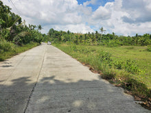 Load image into Gallery viewer, 2 hectares for sale 150/sqm Catigbian Bohol Philippines