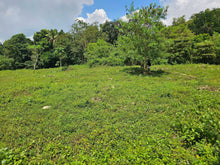 Load image into Gallery viewer, 3.3 hectares for sale in Balilihan Bohol Philippines