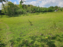 Load image into Gallery viewer, 2 hectares for sale 150/sqm Catigbian Bohol Philippines