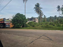 Load image into Gallery viewer, Commercial/residential lot 15,000 sqm clean title for sale along highway in Guindulman Bohol