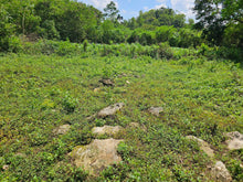 Load image into Gallery viewer, 3.3 hectares for sale in Balilihan Bohol Philippines