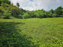 Load image into Gallery viewer, 3.3 hectares for sale in Balilihan Bohol Philippines