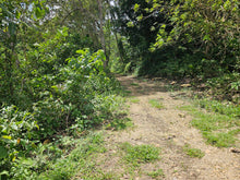 Load image into Gallery viewer, 3.3 hectares for sale in Balilihan Bohol Philippines