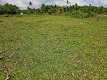 Load image into Gallery viewer, 2 hectares for sale 150/sqm Catigbian Bohol Philippines