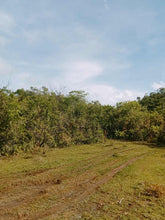 Load image into Gallery viewer, LOT FOR SALE IN BALILIHAN, BOHOL