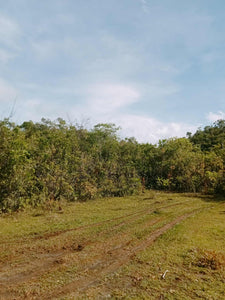 LOT FOR SALE IN BALILIHAN, BOHOL