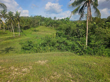Load image into Gallery viewer, 47,000 sqm / 4.7 hectares for sale along river &amp; highway Sevilla Bohol Philippines