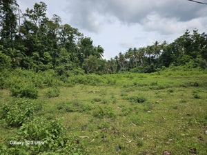 8,000 sqm lot for sale at Balilihan Bohol