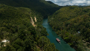 Bohol lot for sale 16,000 sqm along Loboc river cruise Loboc Bohol Philippines 1,000/sqm