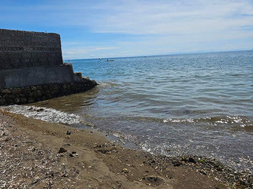Cebu beach lot for sale 946 sqm title at Catmon Cebu 8m negotiable