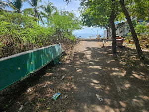 Beach Lot For Sale In Catmon Cebu 900 Sqm Propertyph.net