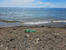Load image into Gallery viewer, Cebu beach lot for sale 946 sqm title at Catmon Cebu 8m negotiable