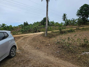 Lot For Sale In Sikatuna Talibon Bohol 25 Hectares Propertyph.net