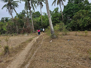 Lot For Sale In Sikatuna Talibon Bohol 25 Hectares Propertyph.net