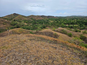 Lot For Sale In Sikatuna Talibon Bohol 25 Hectares Propertyph.net