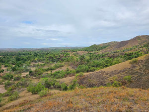 Lot For Sale In Sikatuna Talibon Bohol 25 Hectares Propertyph.net