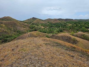 Lot For Sale In Sikatuna Talibon Bohol 25 Hectares Propertyph.net