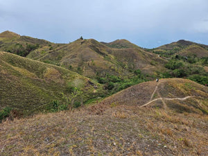 Lot For Sale In Sikatuna Talibon Bohol 25 Hectares Propertyph.net