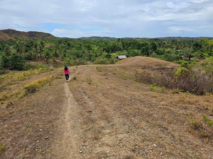 Lot For Sale In Sikatuna Talibon Bohol 25 Hectares Propertyph.net