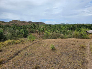 Lot For Sale In Sikatuna Talibon Bohol 25 Hectares Propertyph.net