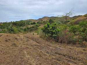 Lot For Sale In Sikatuna Talibon Bohol 25 Hectares Propertyph.net