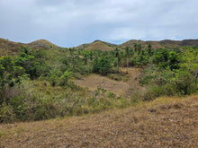 Load image into Gallery viewer, Lot For Sale In Sikatuna Talibon Bohol 25 Hectares Propertyph.net