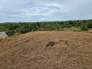 Lot For Sale In Sikatuna Talibon Bohol 25 Hectares Propertyph.net