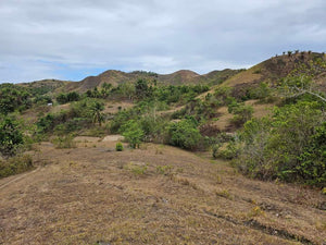 Lot For Sale In Sikatuna Talibon Bohol 25 Hectares Propertyph.net