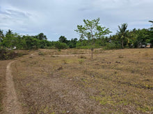 Load image into Gallery viewer, Lot For Sale In Sikatuna Talibon Bohol 25 Hectares Propertyph.net